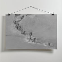 Art Prints of Crossing river ( wildbeest )