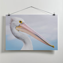 Art Prints of pelican