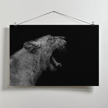 Art Prints of Lioness in low key