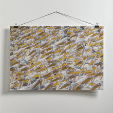 Art Prints of Parade Pelican