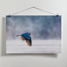 Art Prints of Morning Flight