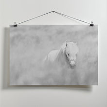 Art Prints of White horse