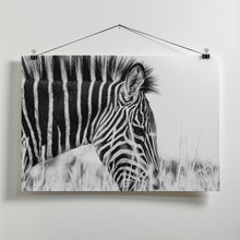 Art Prints of Fashionable black and white