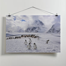 Art Prints of The Penguins Natual Habitat in Antarctica