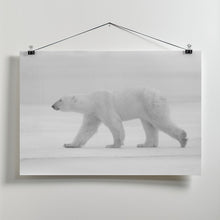 Art Prints of Just  white