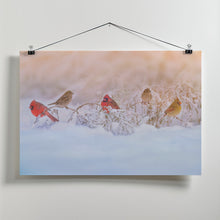 Art Prints of Snowy Morning  Party