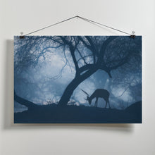 Art Prints of Misty Winter Morning