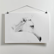 Art Prints of horse and minimalism