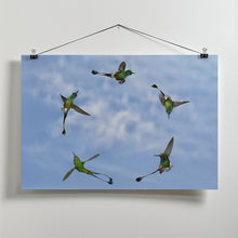 Art Prints of Joy of Flight