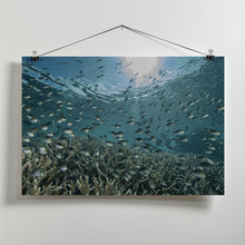 Art Prints of The Reef