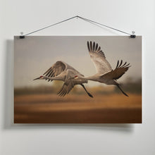 Art Prints of Flying over