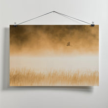 Art Prints of Morning Flight