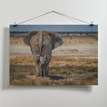 Art Prints of BabyElephant