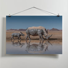 Art Prints of RhinosWalk