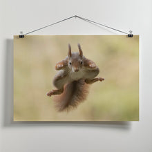 Art Prints of Squirrel ninja