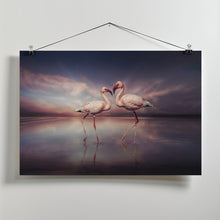 Art Prints of FlamingoLove