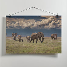 Art Prints of Amboseli wonderland