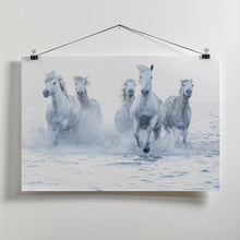 Art Prints of Horses on the Run