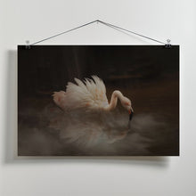 Art Prints of Flamingo's Paradise