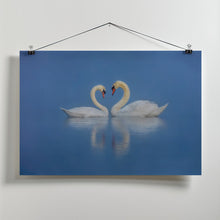 Art Prints of Swan's Love