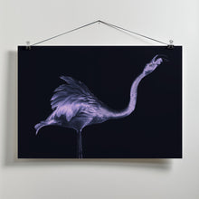 Art Prints of Silver Flamingo