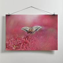 Art Prints of Fly gracefully