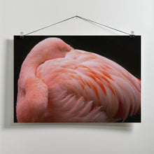 Canvas Art Print A big bundle of feathers