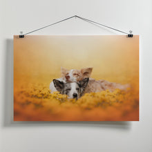 Canvas Art Print Dandelion dream