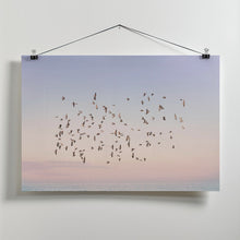 Canvas Art Print Sunset Flight