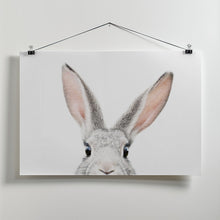 Canvas Art Print Peeking Bunny