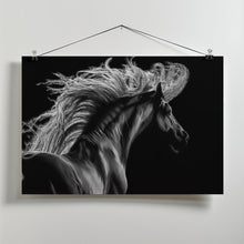 Canvas Art Print Le Equus