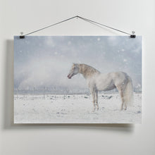 Canvas Art Print Let it snow...