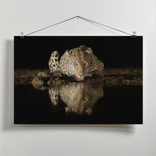 Canvas Art Print Leopard drinking