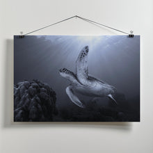 Canvas Art Print On the reef