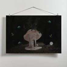 Art Prints of Mushroom