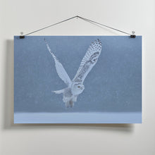 Canvas Art Print Snowy Owl