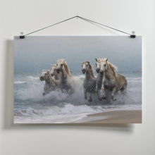 Canvas Art Print Wild horses