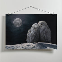 Canvas Art Print MoonOwls