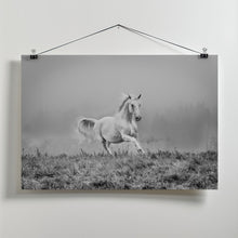 Canvas Art Print a short story about gallop