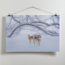 Canvas Art Print Deers' Walk in Snow