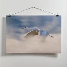 Canvas Art Print Sandhill Crane Flying in Clouds