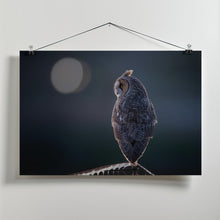 Canvas Art Print Night Watcher