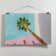 Art Prints of Palm Tree Lookup