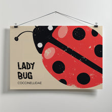 Art Prints of Lady Bug