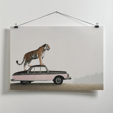 Art Prints of Tiger om a car roof