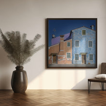 Art Prints of The small house color dog