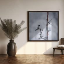 Art Prints of Willow tit