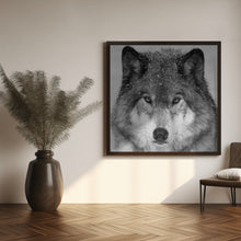 Art Prints of Wolf Portrait