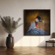 Art Prints of Black crowned crane