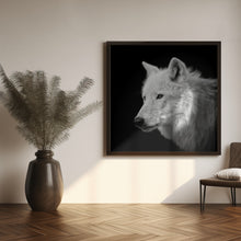 Art Prints of White Wolf #2